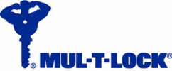 Custom Security & Safety Systems online